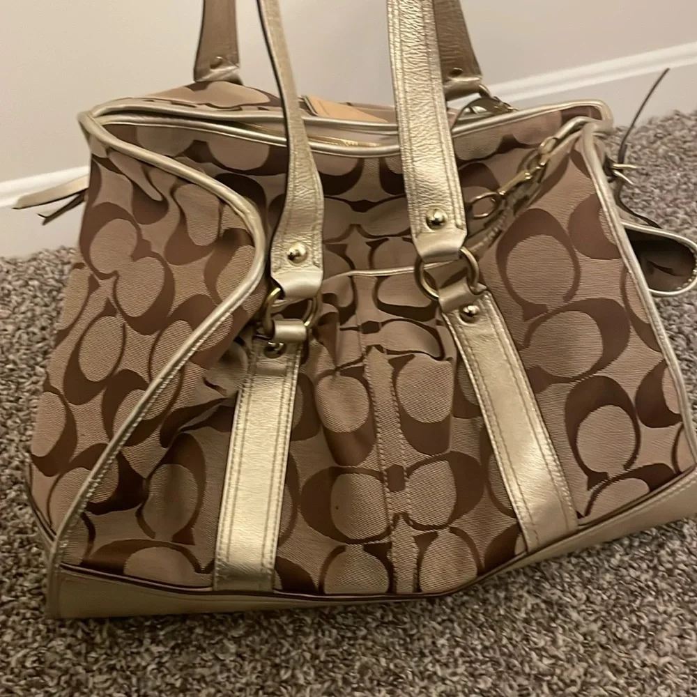 Coach dog carrier